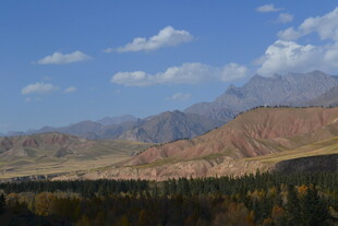 壮丽山景与葱郁森林