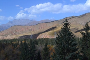 秋日山林与远山美景