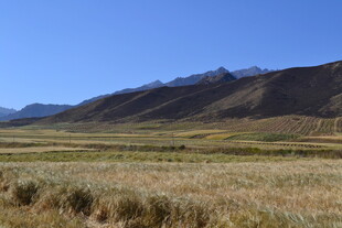广袤草原与远处山峦