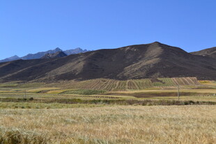 广袤草原与远处山峦景色