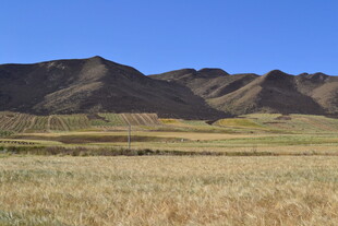 广袤原野与远处山峦景色