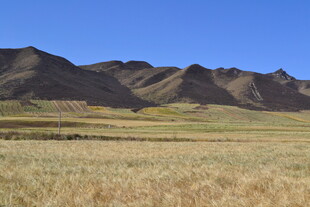 广袤草原与连绵山脉景观