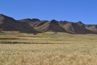 广袤草原与远处山峦