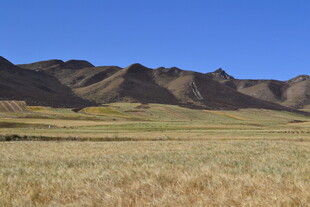 广袤荒原与连绵山脉景观