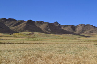 广袤草原与连绵山脉景观