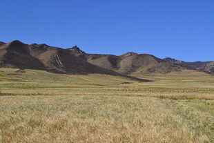 广袤草原与远处山峦