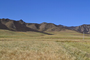 广袤草原与连绵山脉