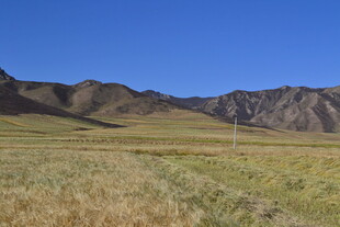 广袤草原与远处山峦