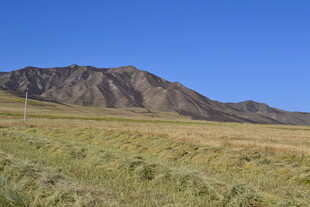 草原与远山的壮美风光