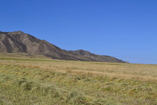 广袤草原与远处山峦