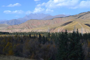秋日山林间的壮美山景