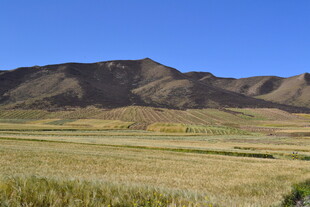 广袤原野与远山蓝天