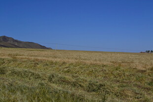 广袤草原与远山蓝天