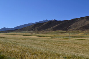 广袤草原与远处山峦