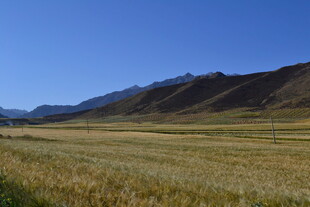 广袤田野与远处山峦风光
