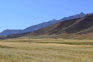 广袤草原与远处山峦