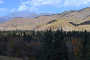 秋日山林与远山美景