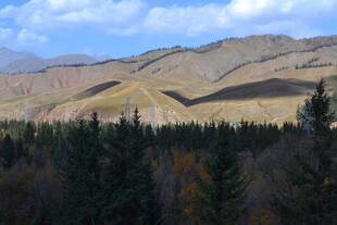 秋日山林与远山美景
