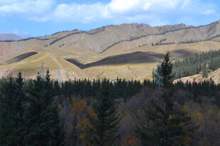 秋日山林与远处山峦景色