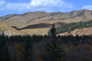 秋日山林与远山风景
