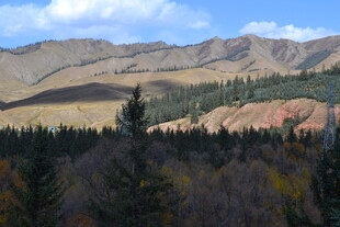 秋日山林与远山风景