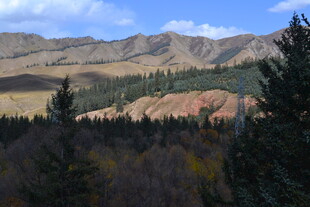 秋日山林与远山美景