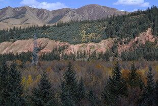 秋日山林间的壮丽山峦