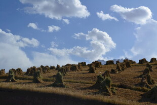田野上的干草堆与蓝天白云