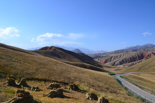 山间公路旁的悠然牧场景象
