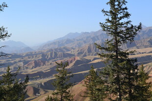 山间秋景 林木与远丘