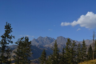 蓝天山林间的壮美山脉