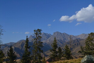 蓝天群山间的葱郁林木