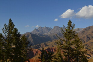 山间松林与远处巍峨山脉