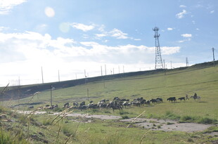 草原上的输电设施景观