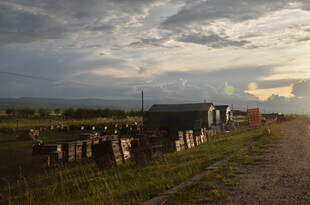 乡村牧场黄昏景象