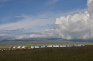 草原上的白色帐篷群落