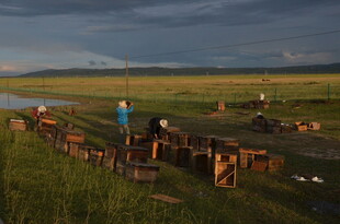 草原上的户外休闲场景