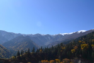 秋日山林与远处雪山美景