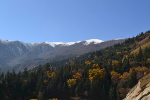 秋日山林间的雪山美景