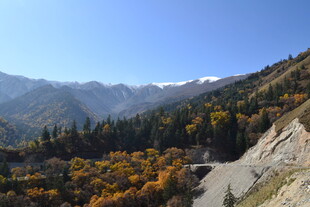 秋日山间公路美景