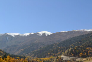 秋日雪山下的斑斓山林