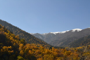 秋日山林与远处雪山美景