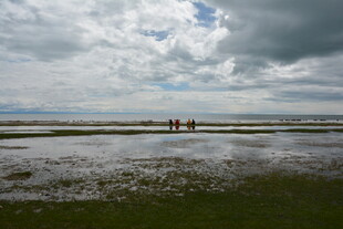 海边三人漫步于阴云之下