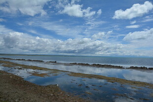 海边滩涂风光
