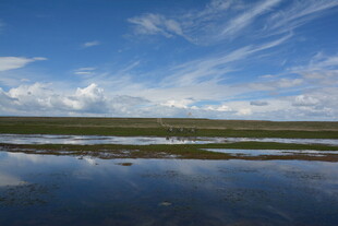 蓝天碧水草原风光美景