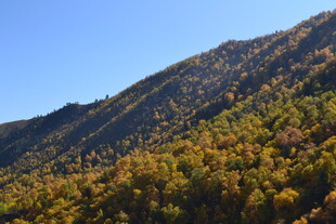 秋日山峦彩叶美景