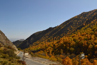 秋日山间公路美景