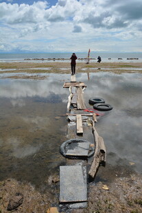 湿地木栈道上的户外景象