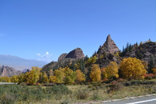 秋日山间公路旁的壮丽景色