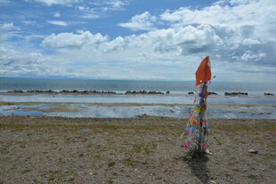 海边飘扬的多彩旗帜